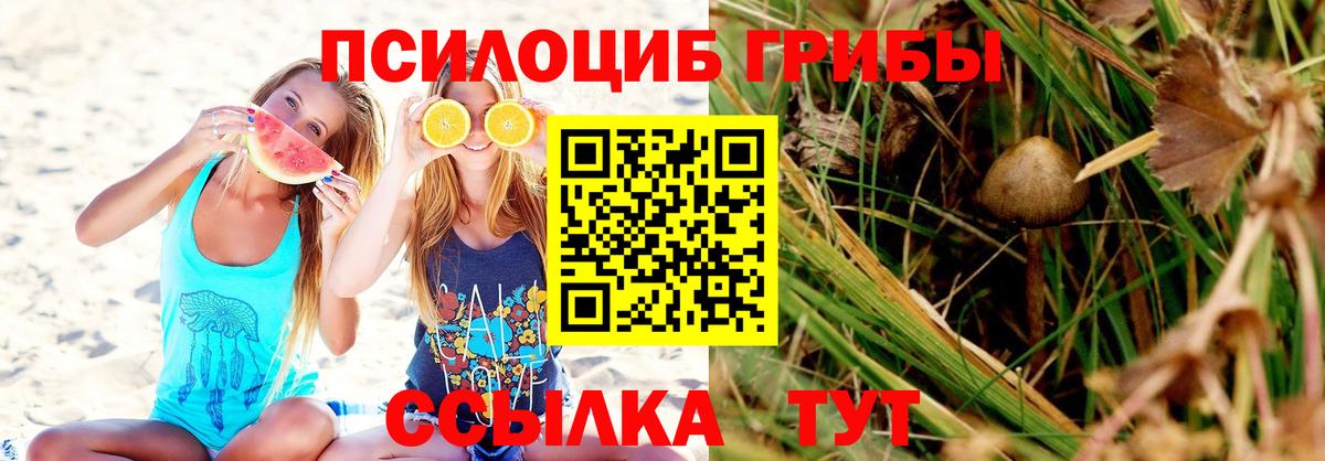 Псилоцибиновые грибы Magic Shrooms  Вход с VPN  Псилоцибиновые грибы GOLDEN TEACHER  Ноябрьск 